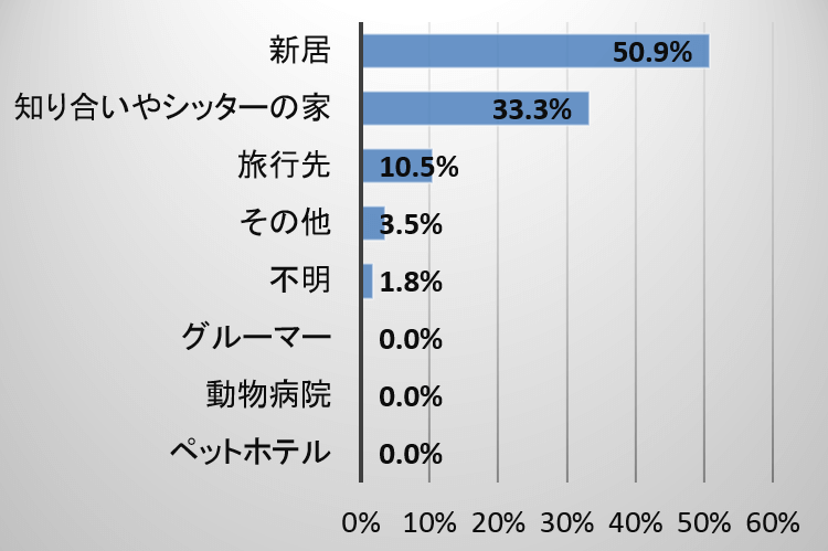 迷子猫が馴染みのない場所で逃げた時の状況