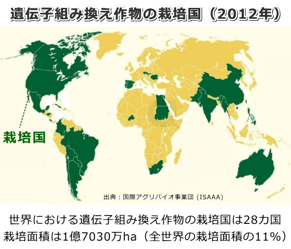 遺伝子組み換え作物の栽培国一覧地図（2012年）