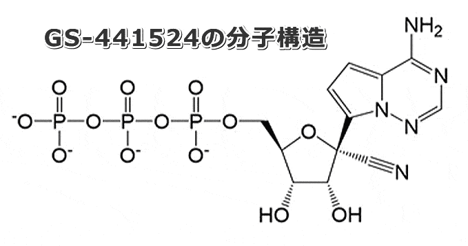 FIPに対する抗ウイルス薬の一種「GS-441524」の分子構造
