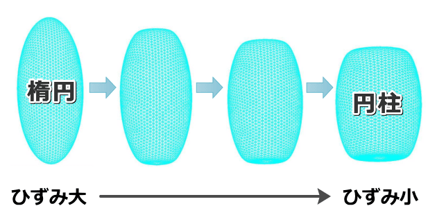 楕円形の脂肪コンパートメントに上下から圧力が加わると円柱状に変形する