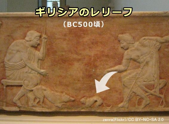 アテネ博物館に展示されている犬と猫のレリーフ(BC500頃)