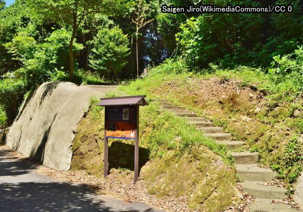 長崎県壱岐市にある弥生時代の遺跡「カラカミ遺跡」