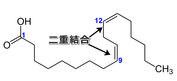 リノール酸の分子構造と二重結合の位置