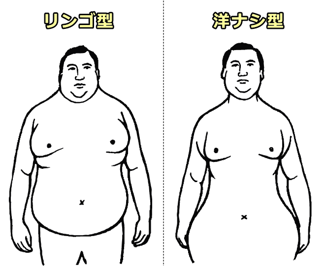 猫の肥満は脂肪が体幹部に集中するリンゴ(中心)型