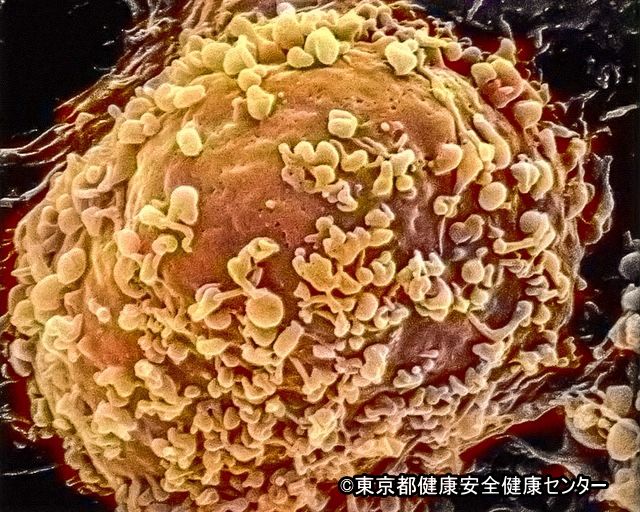 新型コロナウイルス(SARS-CoV-2)の分子構造
