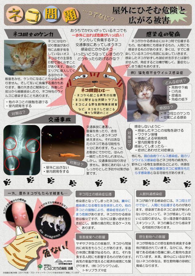 猫問題に関する啓蒙ポスター