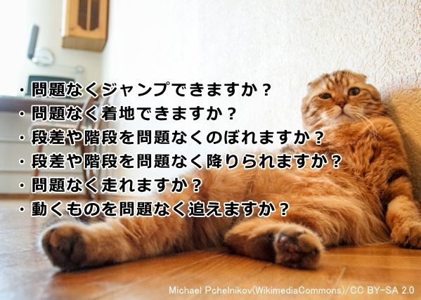 猫の変形性関節症(骨関節炎)の簡易質問表