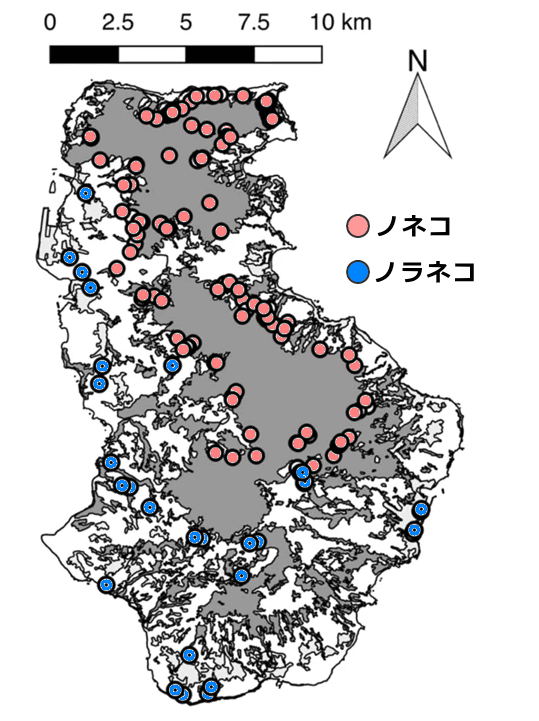 徳之島における屋外放浪猫（ノネコ＋ノラネコ）の捕獲場所一覧マップ