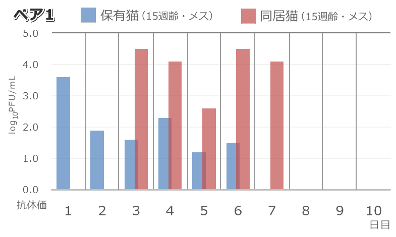 猫における新型コロナウイルス(SARS-CoV-2)の水平感染実験~ペア1
