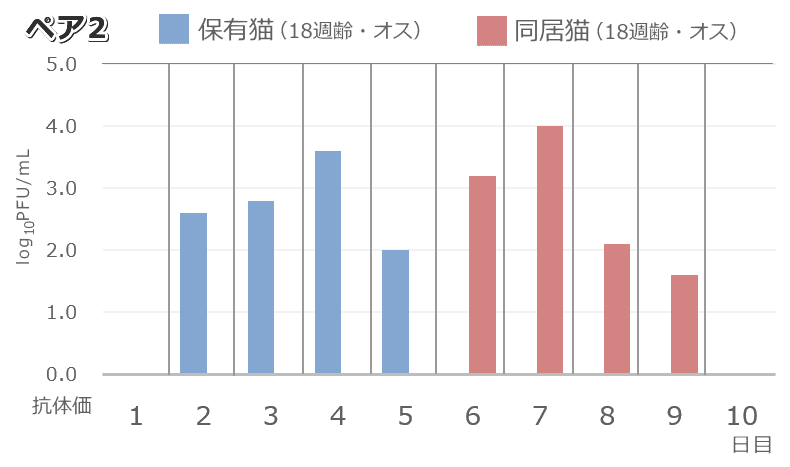 猫における新型コロナウイルス(SARS-CoV-2)の水平感染実験~ペア2