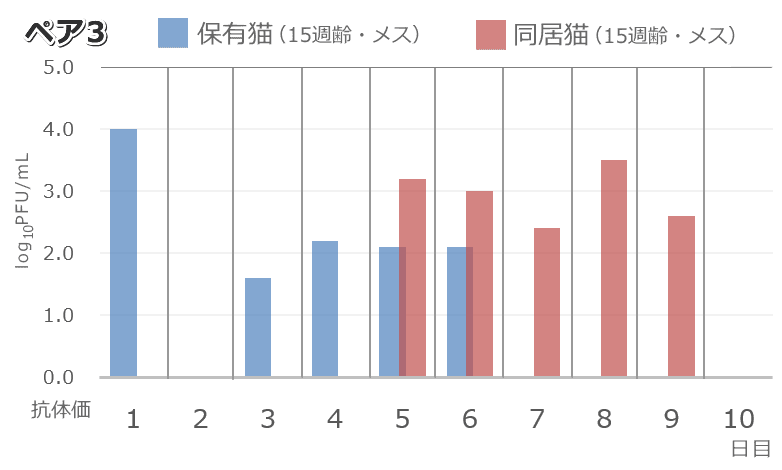 猫における新型コロナウイルス（SARS-CoV-2）の水平感染実験～ペア3