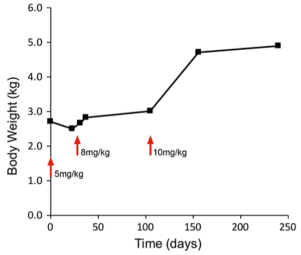 GS-441524の投与量を漸増したときの体重増加グラフ