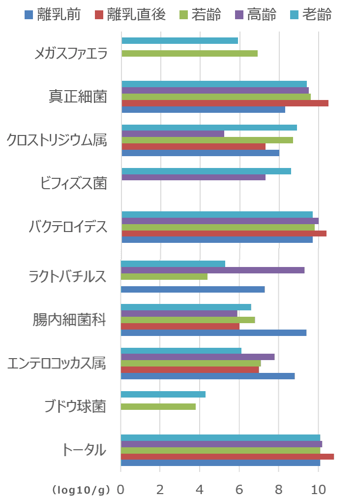 年齢別に見た猫の腸内細菌叢の変遷