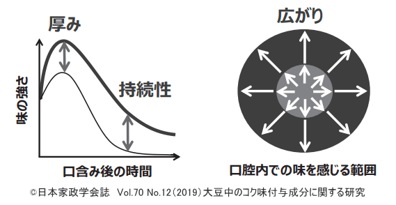 コク味における持続性（Lastingness）、厚み（Complexity）、広がり（Mouthfulness）