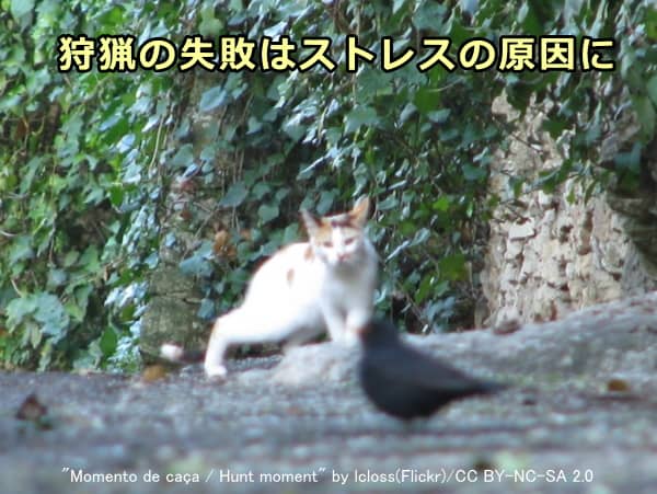 屋外における狩猟の失敗は、ストレス解消どころか逆に欲求不満につながる