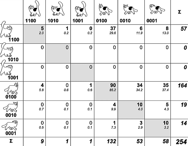 猫同士の交流における耳としっぽの出現パターン36種