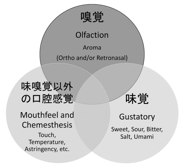 コク味の概念は味覚だけでなく嗅覚や触覚が絡むことで成立している