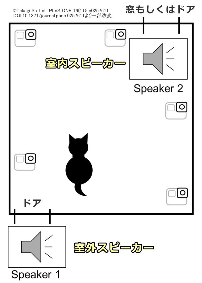 猫の瞬間移動・実験設備