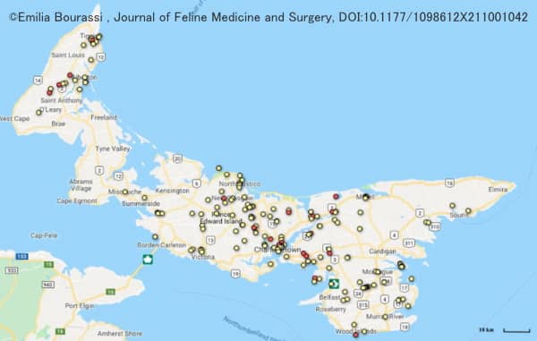 カナダ・プリンスエドワード島に生息する野良猫はおよそ10%がレプトスピラに感染している