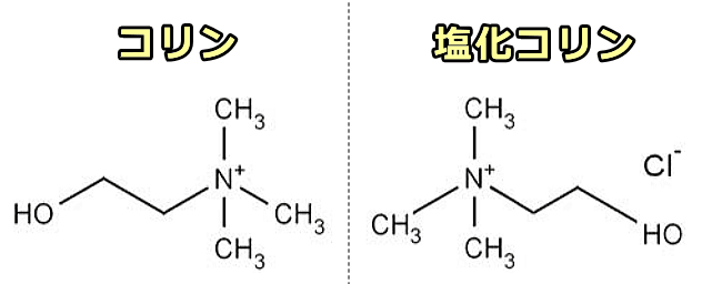 コリン及び塩化コリンの分子構造