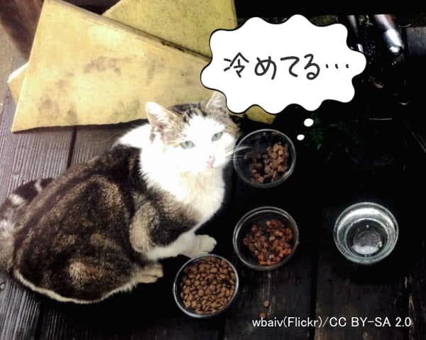 猫は自然界で捕獲する獲物の体温に近い食餌を好むとされている