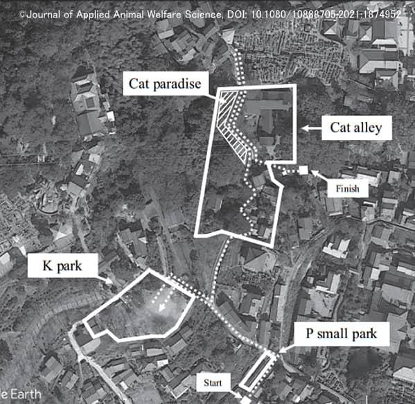 地域猫の目視生態調査が行われた尾道市内の3地区