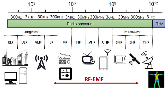 無線周波数電磁界（RF-EMF）の帯域一覧図