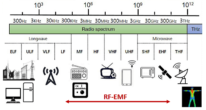 無線周波数電磁界(RF-EMF)の帯域一覧図