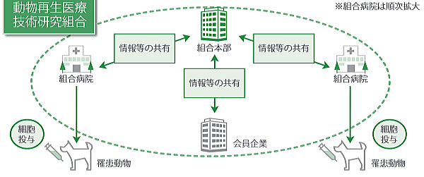 動物再生医療技術研究組合の目指している枠組み