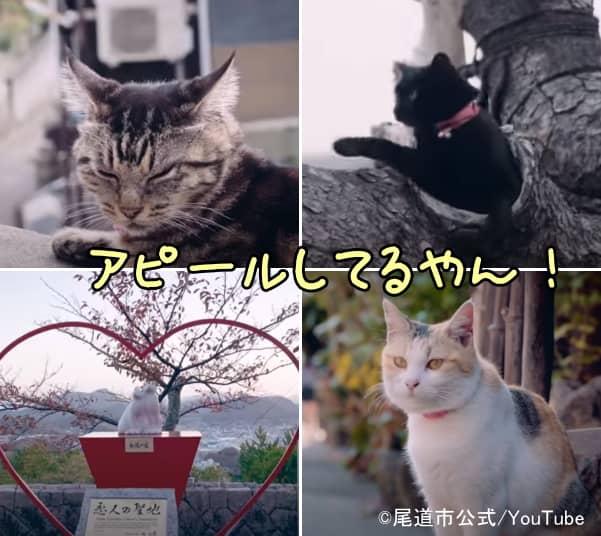 尾道市の観光案内動画内では意図的に猫の姿が加えられている