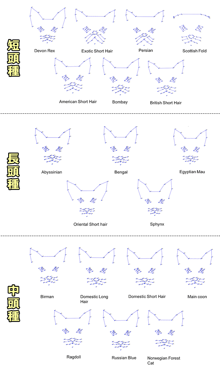 猫の品種ごとのワイヤフレーム画像