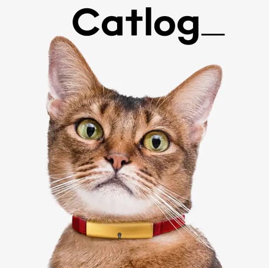 猫の室内モニタリングデバイス「Catlog」