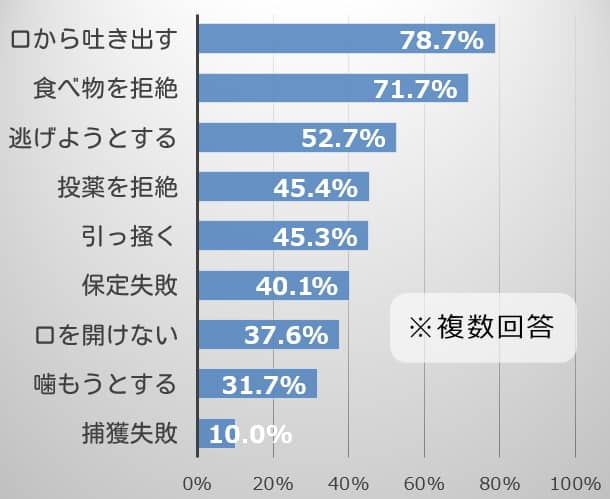 猫の飼い主が投薬時に直面する困難・障壁