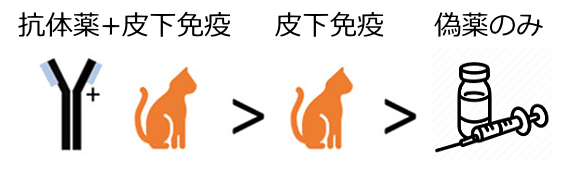 皮下免疫療法だけのときよりモノクローナル抗体療法と組み合わせたときのほうが治療効果が高い