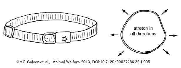 猫の首輪の種類～圧力に応じてベルトが伸び縮みする伸縮型