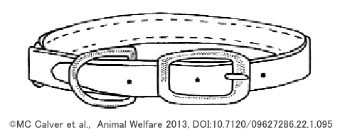 猫の首輪の種類～伸びたり外れたりしない固定型