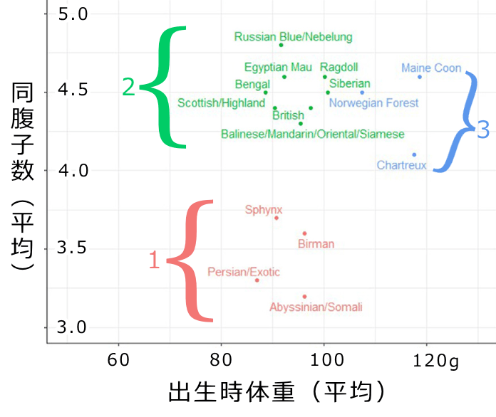 出生時体重と同腹子数から見た猫の3つのクラスター