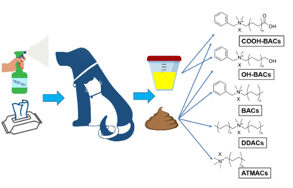 犬や猫におけるQACs曝露量を調べるため尿と便サンプルが採取された