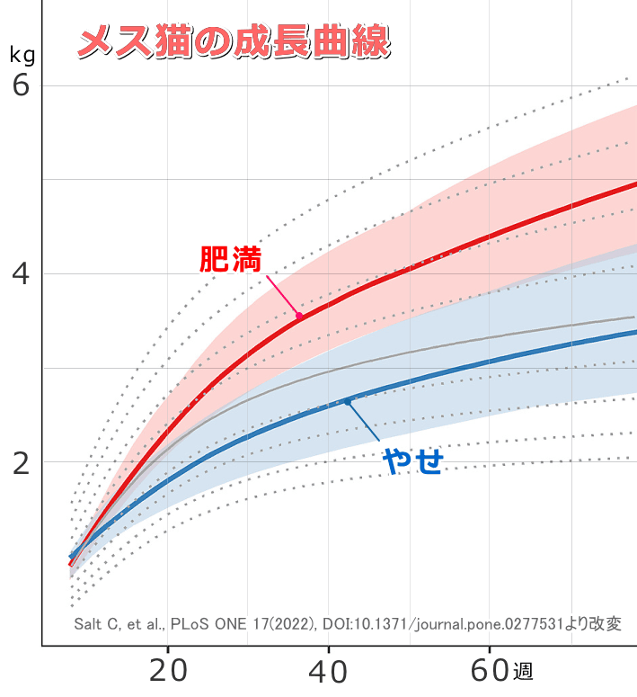 肥満およびやせ体型の未避妊メス猫における成長曲線