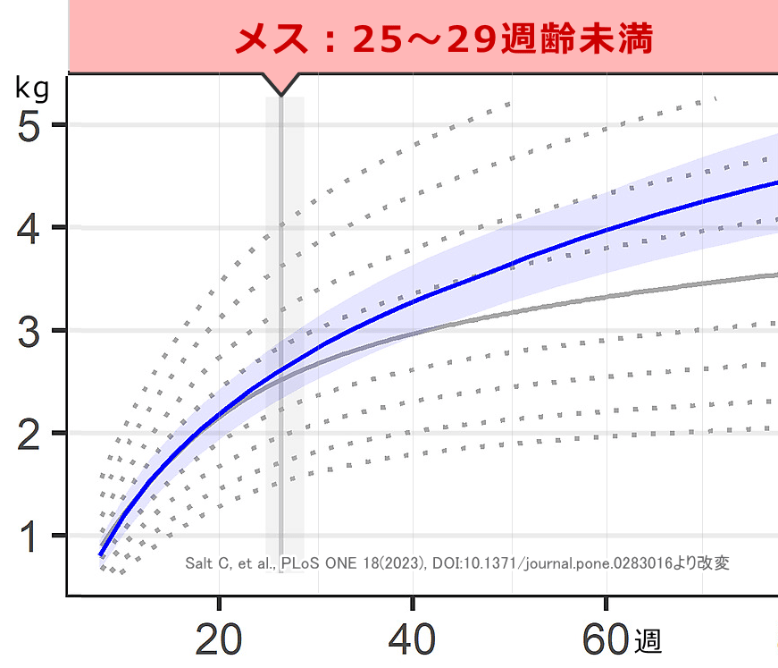 メス子猫の標準成長曲線（避妊25～29週齢未満）