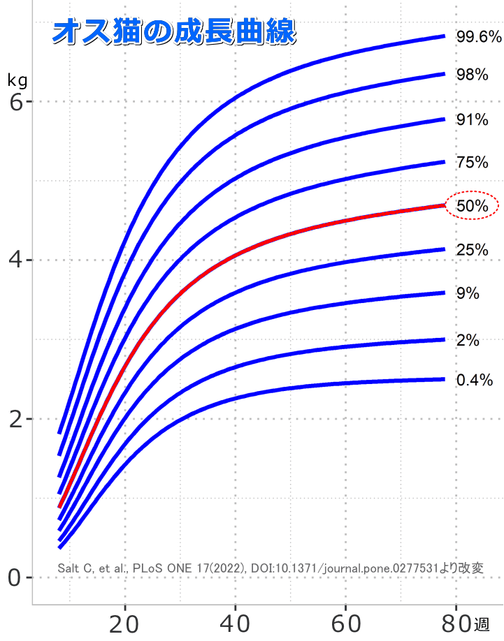 未去勢オス猫の標準的成長曲線（8～78週齢）