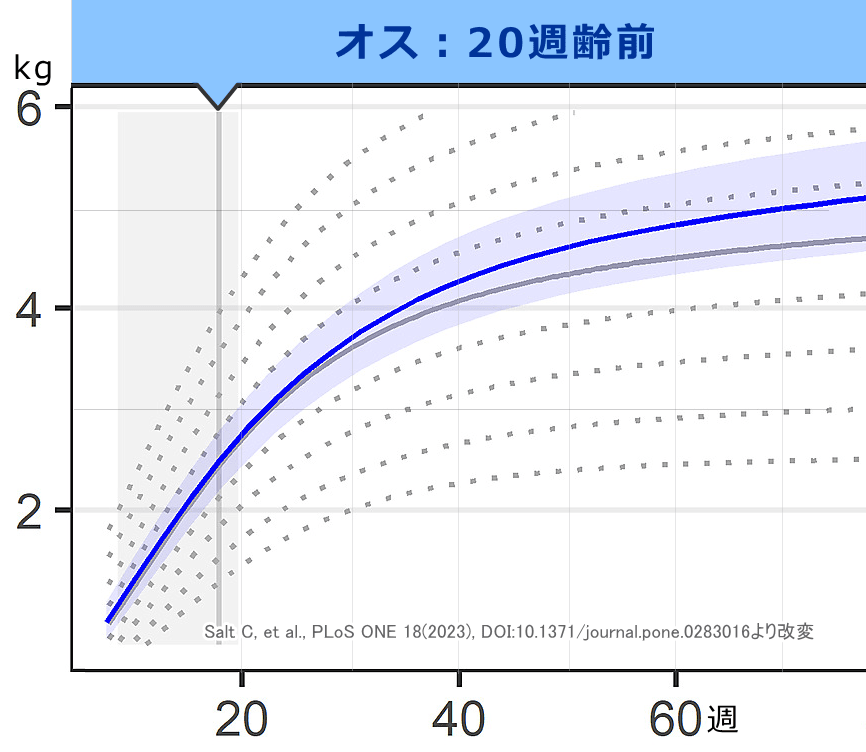 オス子猫の標準成長曲線（去勢20週齢前）