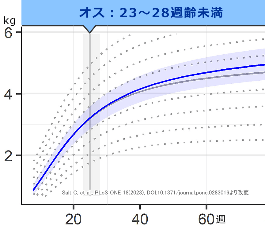 オス子猫の標準成長曲線(去勢23~28週齢未満)