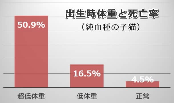 子猫（純血種）の出生時体重と死亡率対応グラフ