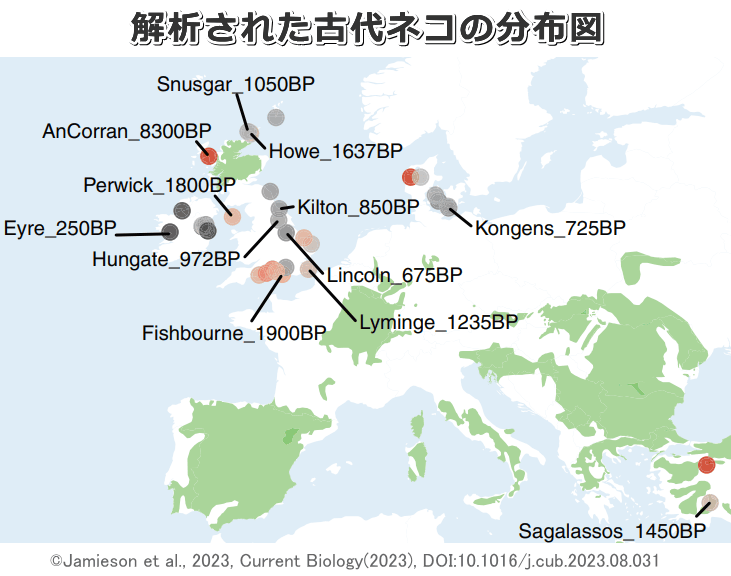 遺伝子解析された古代猫たちの分布図