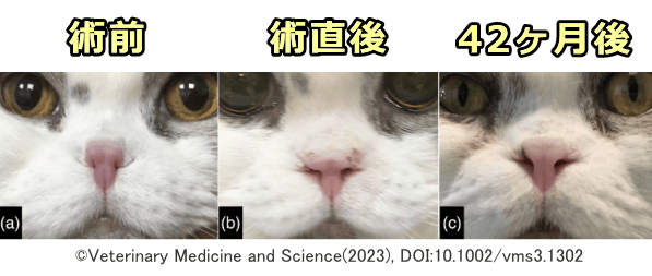 猫の鼻孔形成術前後における典型的な所見