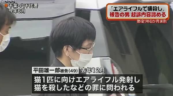 2021年に千葉県で発覚したエアガンを用いた猫の大量虐待事件