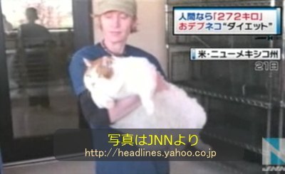 2歳にして体重18キロのネコ