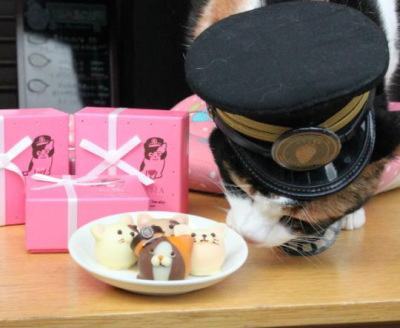 たま駅長をかたどったチョコレートが発売