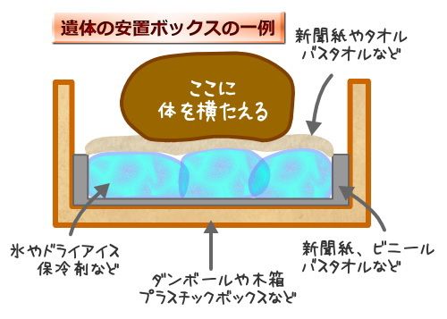 猫の遺体を一時的に収容する安置ボックスは、可燃性のダンボールがベストです。